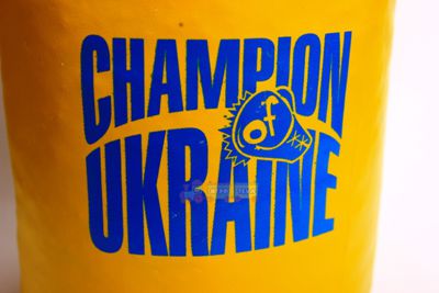 Боксерская груша Champion of  Ukraine большая.