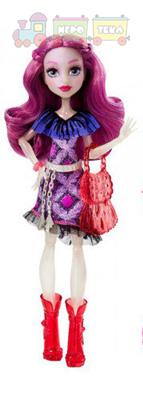 Кукла Monster High (DNW97) 3 вида