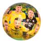 Мяч футбольный EV 3152-1 Сборная Украины