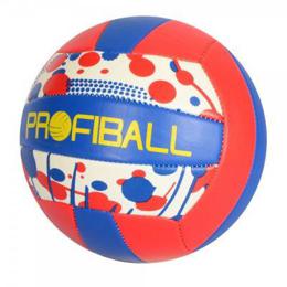 ​Мяч волейбольный EV 3320