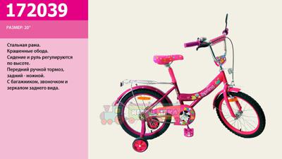 Велосипед детский 2-хколесный 172039 20'